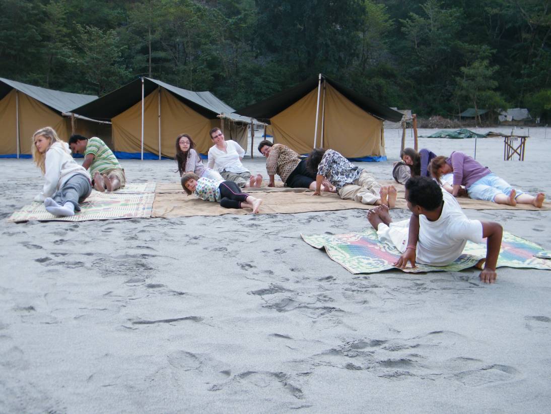 Group performing yoga at a camp in Rishikesh
